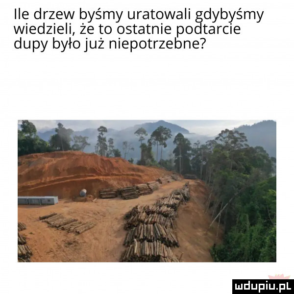 ile drzew byśmy uratowali gdybyśmy wiedzieli że to ostatnie po tarcie dupy byłojuż niepotrzebne ludu iu. l