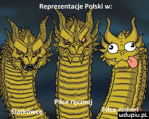 reprezentacje polski w    lilv piłce ręcznej. piłce nnżnei slatkowce
