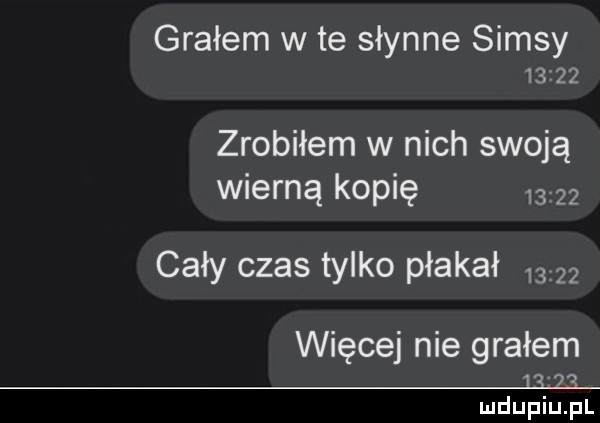 grałem w te słynne samsy       zrobiłem w nich swoją wierną kopię       cały czas tylko płakał       więcej nie grałem   ł ł