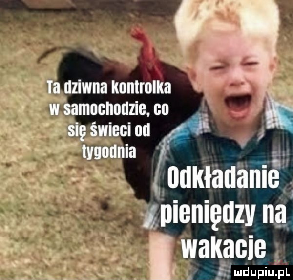 z dziwna kontrolka. i. samochodzie. cu się świeci na tvnmlma   . abakankami gm. l. pieniędzy na w v wakacie i.   ludupiu. pl