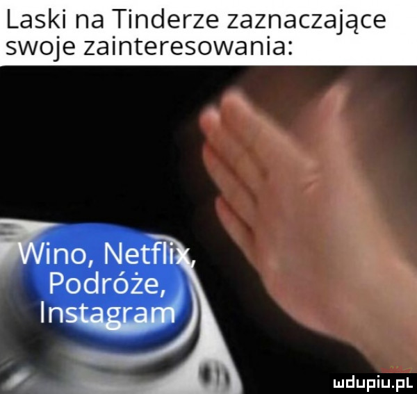 laski na tonderze zaznaczające swoje zainteresowania ino netfh