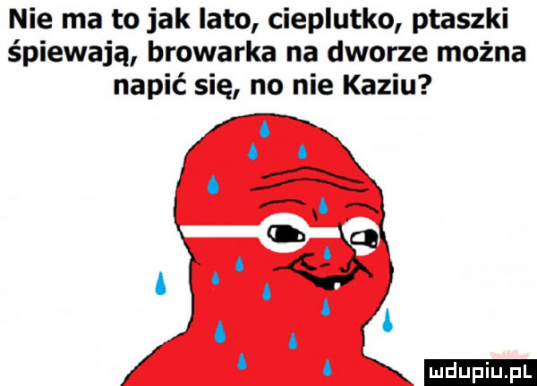 nie ma to jak lato cieplutko ptaszki śpiewają browarka na dworze można napić się no nie kaziu ludu iu. l