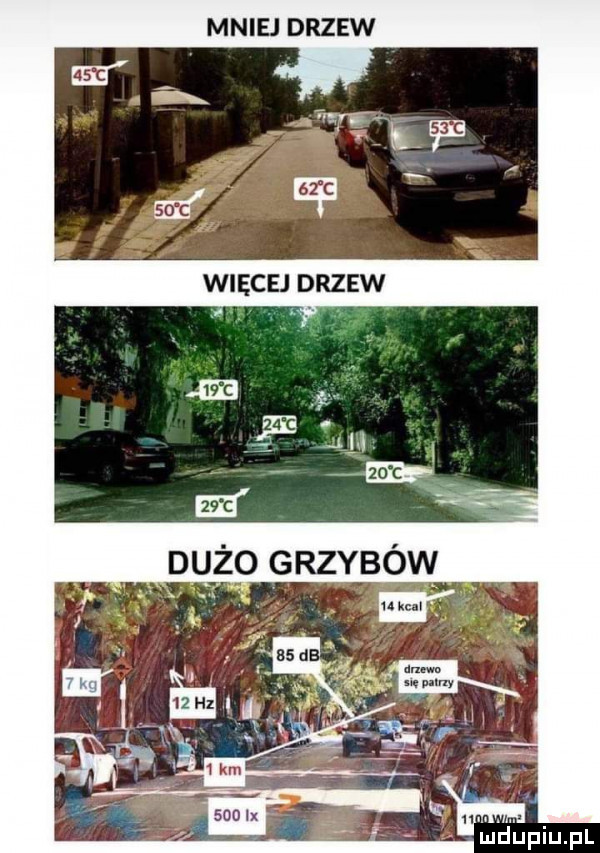 mniej drzew hahpiu pl