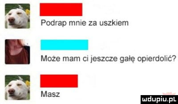 i podrap male za uszkiem może mam ci jeszcze gate oplerdollé. m