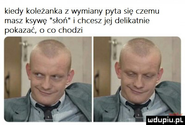 kiedy koleżanka z wymiany pyta się czemu masz ksywę słoń i chcesz jej delikatnie pokazać   co chodzi mdupiupl