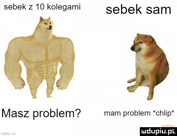 sobek z    kolegami sobek sam masz problem mam problem chlip