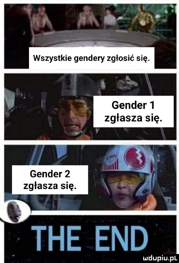 gender  it zgłasza się