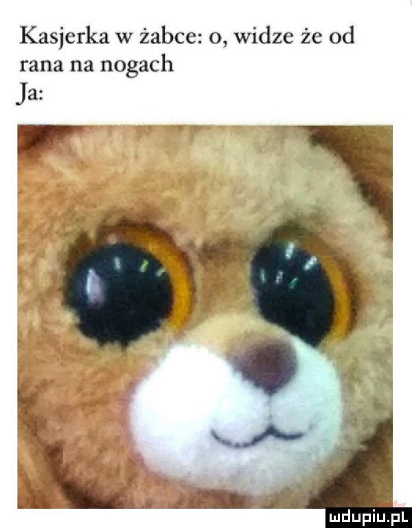 kasjerka w żabce o widze że od rana na nogach ja