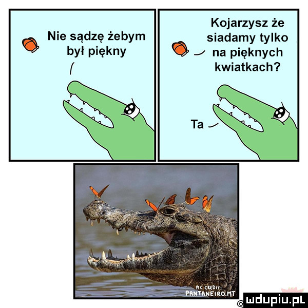 kojarzysz że nie sądzę żebym siadamy tylko   był piękny q na pięknych kwiatkach n mu. hunumom