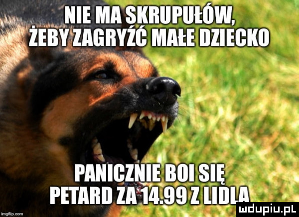 w. nie ma skiiiipiieiyw ﬂ zeby iaeiiyee mace illleﬂkll. abakankami n. i    g paniginie bell sie u pai aiiii za   .     liilla. abakankami