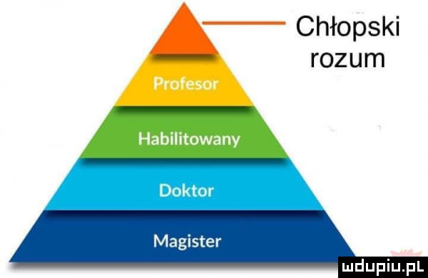 a chłopski rozum magister