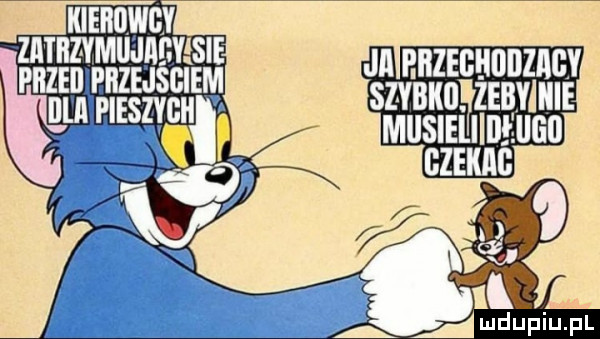 jii p bzeghoiizagy szybkiiyżebyiiiie mllslellilleulill gzekag