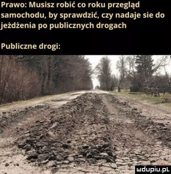 prawo musisz robić co roku przegląd samochodu by sprawdzić czy nadaje sie do jeżdżenia po publicznych drogach publiczne drogi n