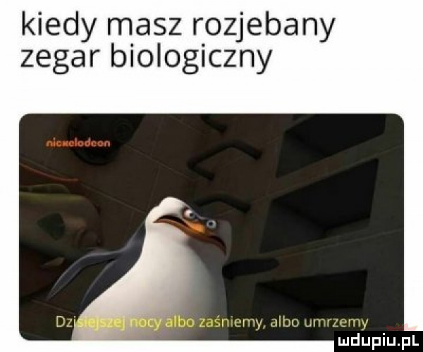 kiedy masz rozjebany zegar biologiczny z gun uw jeb mwmw mdeiupl