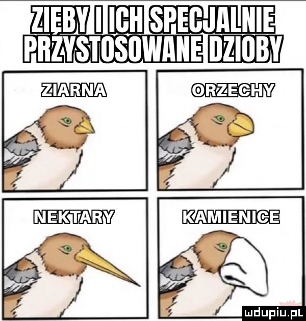 zieby i igi spegjaliiie przy stosowane ilziliby emm rzechy mm mm