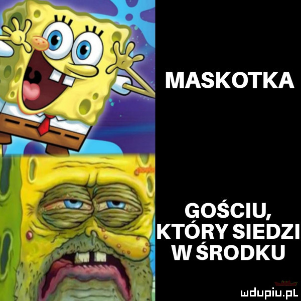 maskotka golc u j którysledzl u wyrodku lł h f. wdupiu pl