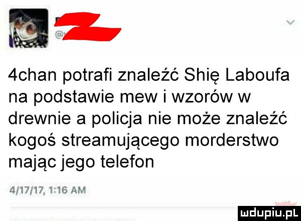 chan potrafi znaleźć shię laboufa na podstawie mew i wzorów w drewnie a policja nie może znaleźć kogoś streamującego morderstwo mając jego telefon       a w mm ludu iu. l