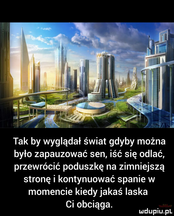 tak by wyglądał świat gdyby można było zapauzować sen iść się odlać przewrócić poduszkę na zimniejszą stronę i kontynuować spanie w momencie kiedy jakas ilska ci obciąga