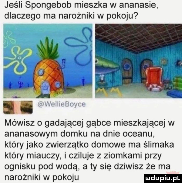 jeśli spongebob mieszka w ananasie dlaczego ma narożniki w pokoju mówisz o gadającej gąbce mieszkającej w ananasowym domku na dnie oceanu który jako zwierzątko domowe ma ślimaka który miauczy i czipuje z ziomkami przy ognisku pod wodą a ty się dziwisz że ma narożniki w pokoju