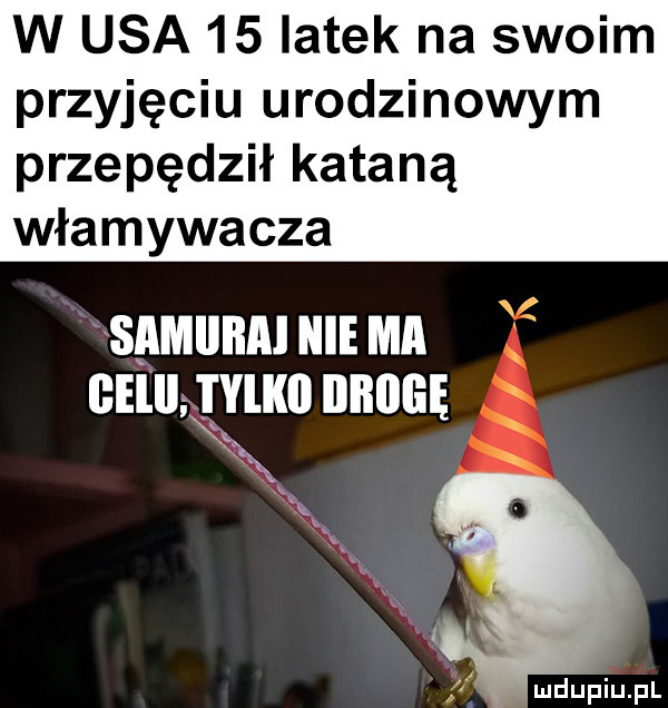 w usa    latek na swoim przyjęciu urodzinowym przepędził kataną włamywacza samumu niema mu ym unum x