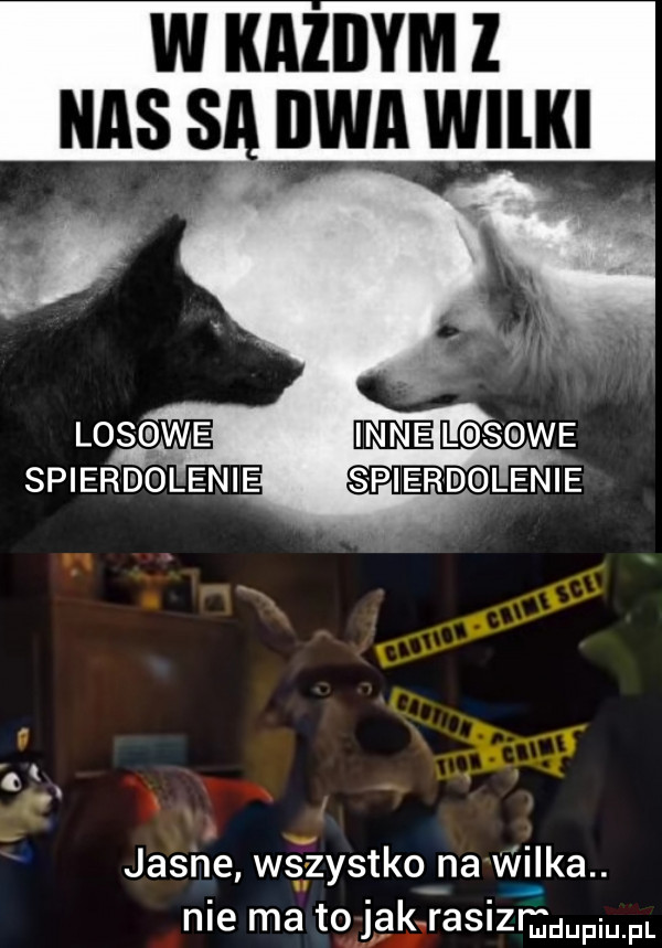 w kaiiiymz nas są iwa wilki jasne wszystko na wilka. nie ma to jak rasizm mw fl