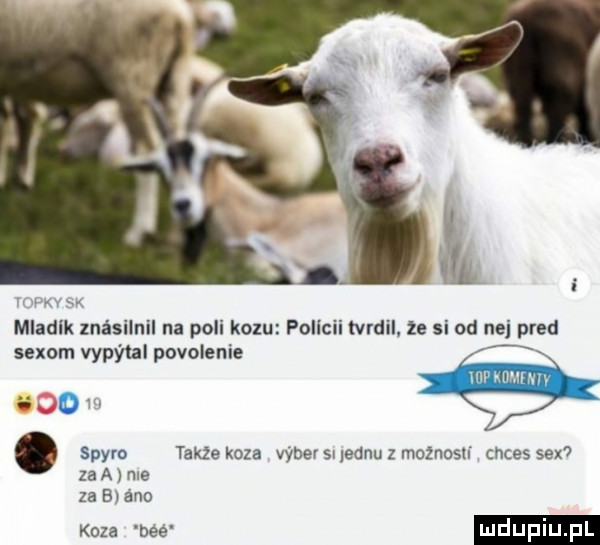 m u my mladlk znésilnil na poli krzu pollcii tvrdil. ze si od naj pled sexem vypyul pobolenie o w. swym takze koza wier sr lednu z moznosll cyces sex za a me za   a no