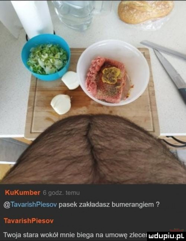 tavarishpiesov pasek zakladasz bumerangiem twoja stara wokół mnie biega na umowę zlece