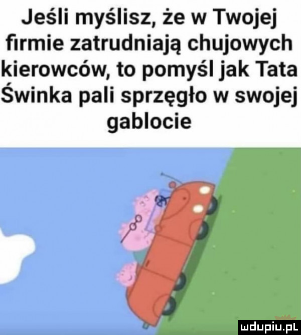 jeśli myślisz że w twojej firmie zatrudniają chujowych kierowców to pomyśl jak tata świnka pali sprzęgło w swojej gablocie ludu iu. l