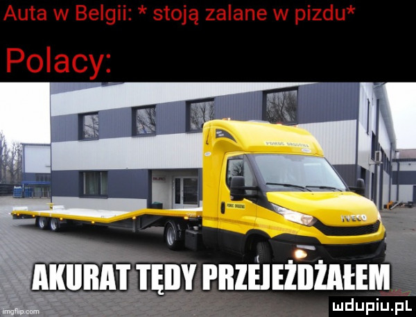 auta w belgii stoją zalane w pizdu polacy akii a i ęlly i iłleieziiżatem ludupiu. pl