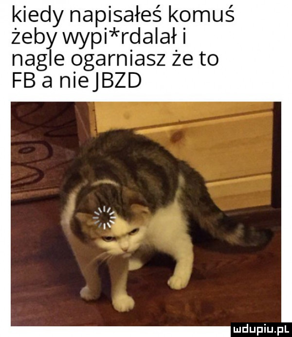 kiedy napisałeś komuś żeby wygi rdalał i nagle ogarniasz że to fb a niejbzd