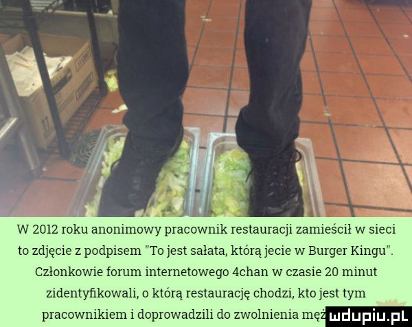 w      roku anonimowy pracownik restauracji zamieścił w sieci to zdjęcie z podpisem to jest salata którą jecie w burger kingu. czlonkowie forum internetowego ąchan w czasie    minut zidentyfikowali o którą restaurację chodzi kto est tym pracownikiem i doprowadzili do zwolnienia mę mdupiu