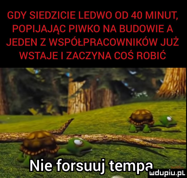 nie forsuuj t empąlu duciu pl