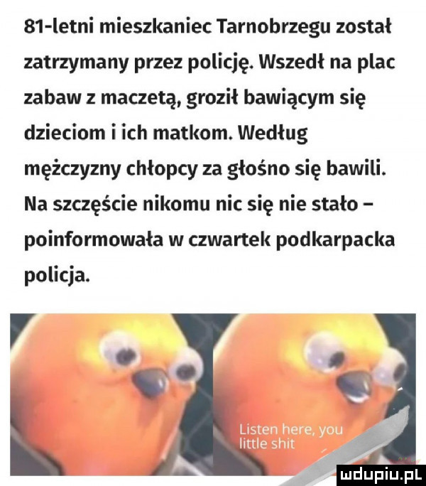 letni mieszkaniec tarnobrzegu został zatrzymany przez policję. wszedł na plac zabaw z maczetą groził bawiącym się dzieciom irch matkom. według mężczyzny chłopcy za głośno się bawili. na szczęście nikomu nic się nie stało poinformowała w czwartek podkarpacka policja. by