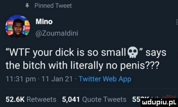 ł pinned tweet gizizjmaidini wtf your dick is so smaliq saks tee bitch with literalny no penis      pm    jan    twitter web aap     k retweets       quote tweets   eli ﬁhiﬁpl