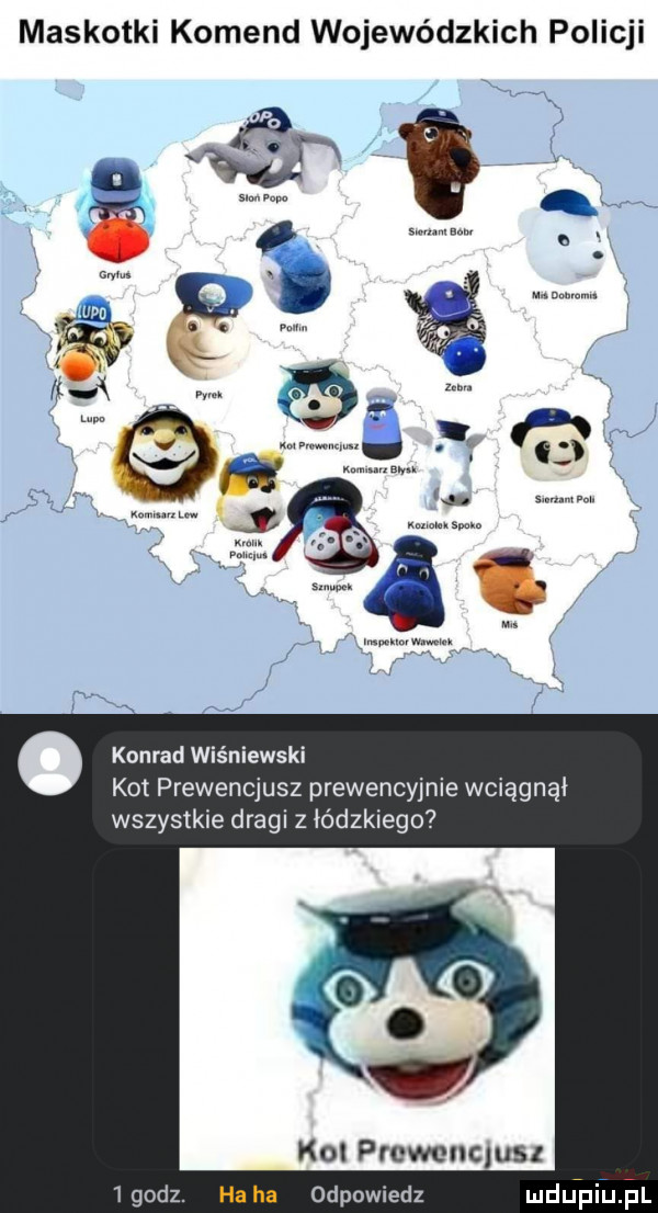 maskotki komend wojewódzkich policji n gi w m if konrad wiśniewski kot prewencjusz prewencyjnie wciągnął wszystkie dragi z łódzkiego kol prcwenqus  godz. haba odpowiedz mru piuﬁl