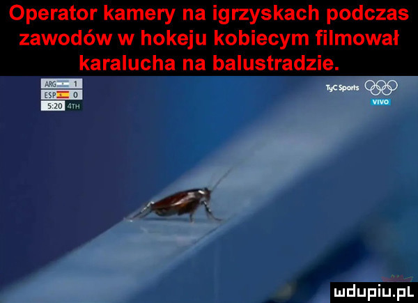 operator kamery na igrzyskach podczas zawodów w hokeju kobiecym filmowal karalucha na balustradzie. mm mq sza