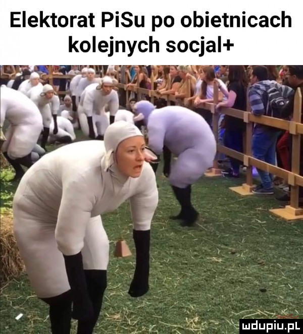 elektorat pasu po obietnicach kolejnych socjal x vl ż xx. x fxtmdupiupl
