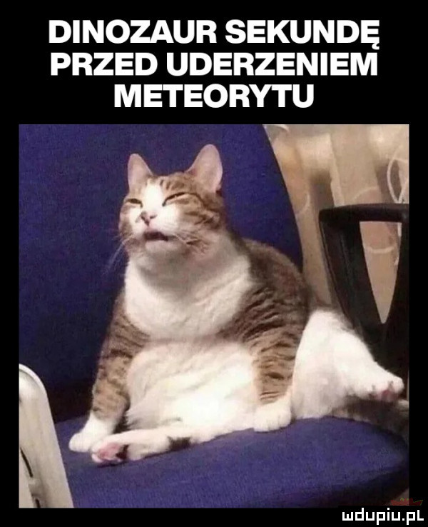 dinozaur sekundę przed uderzeniem meteorytu