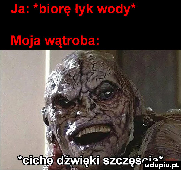 c ie hdd ęsi szdzeégﬁzgim