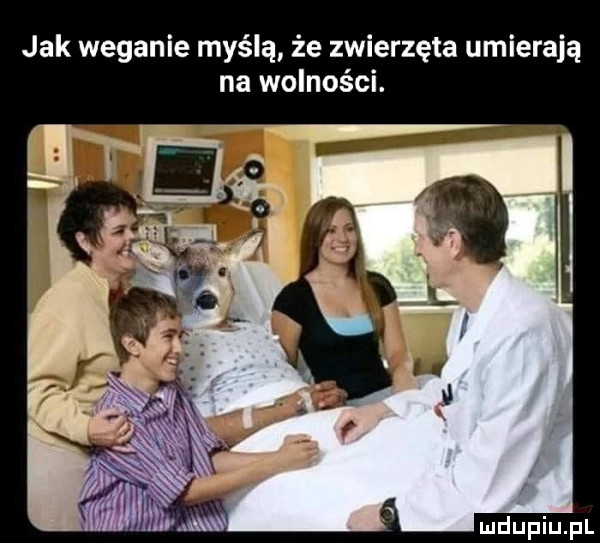 jak weganie myślą że zwierzęta umierają na wolności