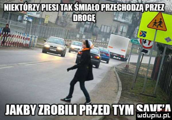 iakiiv liiiiiii piileb tria w ludupiu. pl