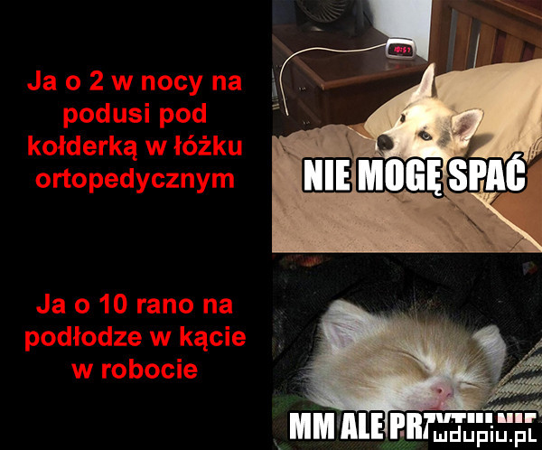lai ulci mm ale ell