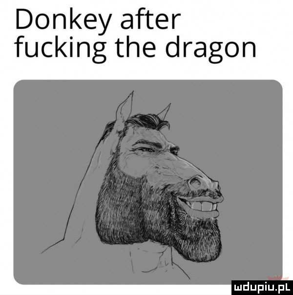 donkey after fucking tee dragon