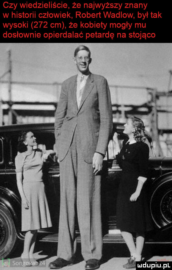 czy wiedzieliście że najwyższy znany w historii człowiek robert wadlow był tak wysoki     cm że kobiety mogły mu dosłownie opierdalać petardę na stojąco