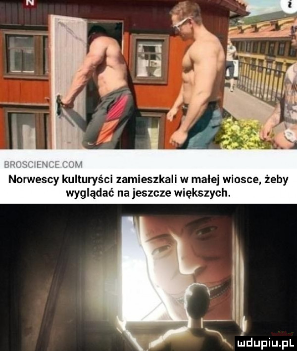 norwescy kulturyści zamieszkali w małej wiosce zeby wyglądać na jeszcze większych