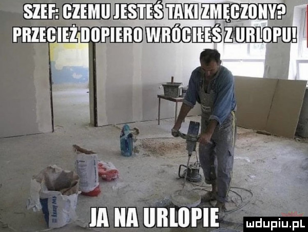 sm c ze lsnśmzmęcmm przebież biieie f z ui nlflmm in a bru