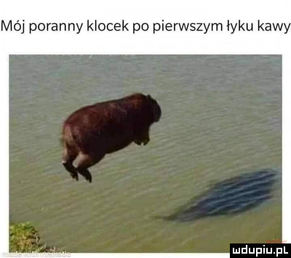 mój poranny klocek po pierwszym łyku kawy