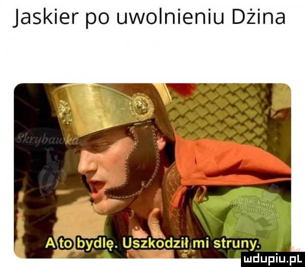 jaskier po uwolnieniu dżina uidupiupl