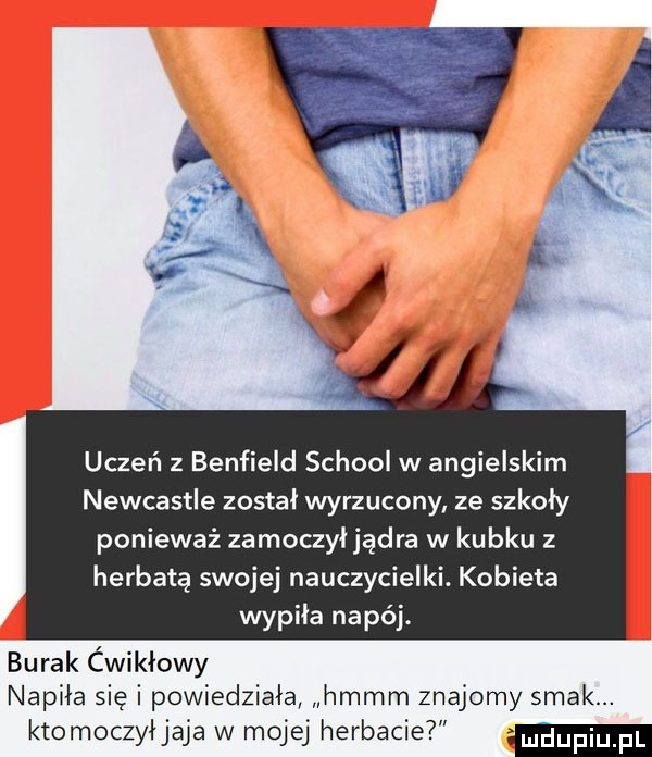 uczeń z benfield scholl w angielskim newcastle został wyrzucony ze szkoły ponieważ zamoczyljądra w kubku z herbatą swojej nauczycielki. kobieta wypiła napój. burak cwikłowy napiła się i powiedziała hmmm znajomy smak. ktomoczyłjaja w mojej herbacie