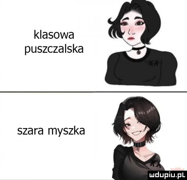 klasowa puszczalska szara myszka